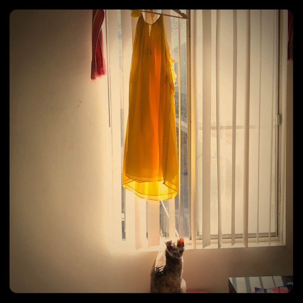 SALE: Catherine Malandrino NWT Sundress